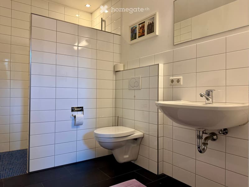 Modern bathroom with white tiled walls, a toilet, a sink with a chrome faucet, a mirror, and a toilet paper holder. The floor is dark with a small pink rug.