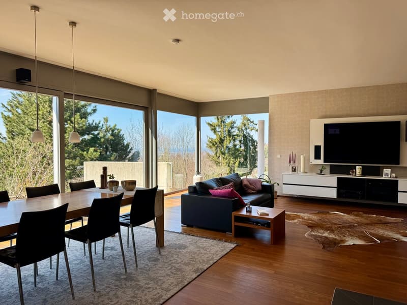 Open-plan living and dining area with large windows, a dark blue sofa, a wooden dining table with chairs, a coffee table, a television on a white cabinet, and decorative items including candles and a plant.