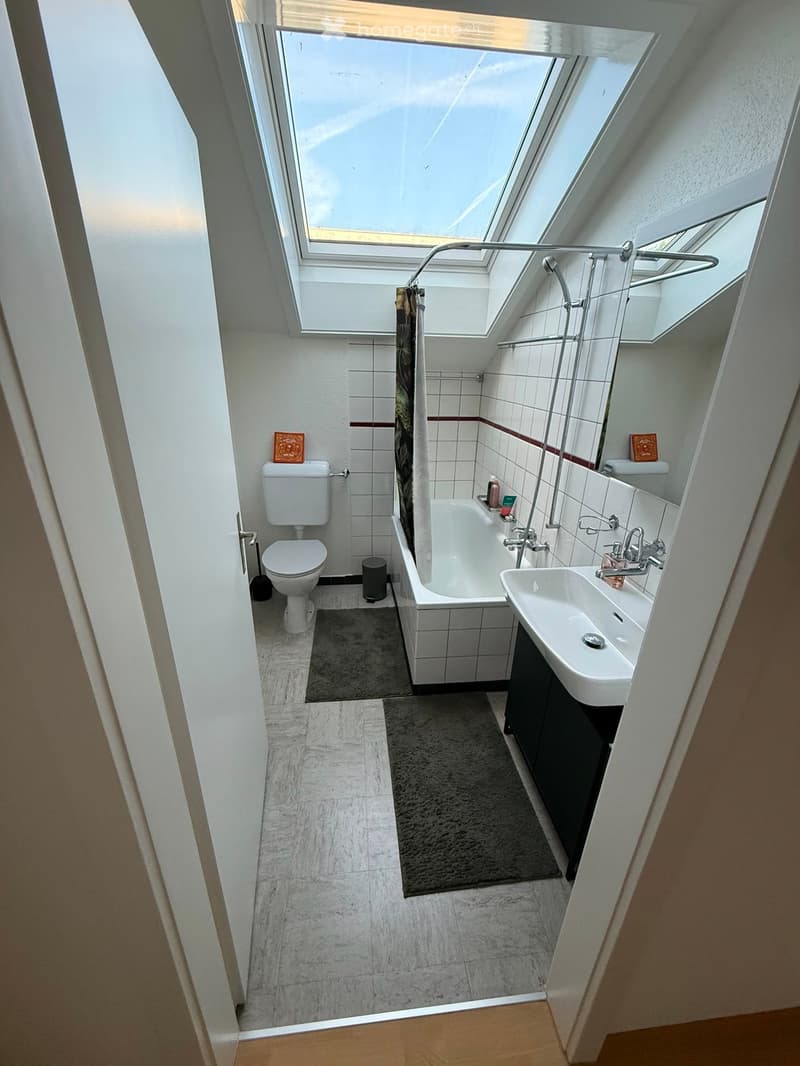 Modern bathroom with white tiles, a bathtub, toilet, sink, and a skylight window above the bathtub. Includes a shower curtain, a mirror, and a bathroom rug.