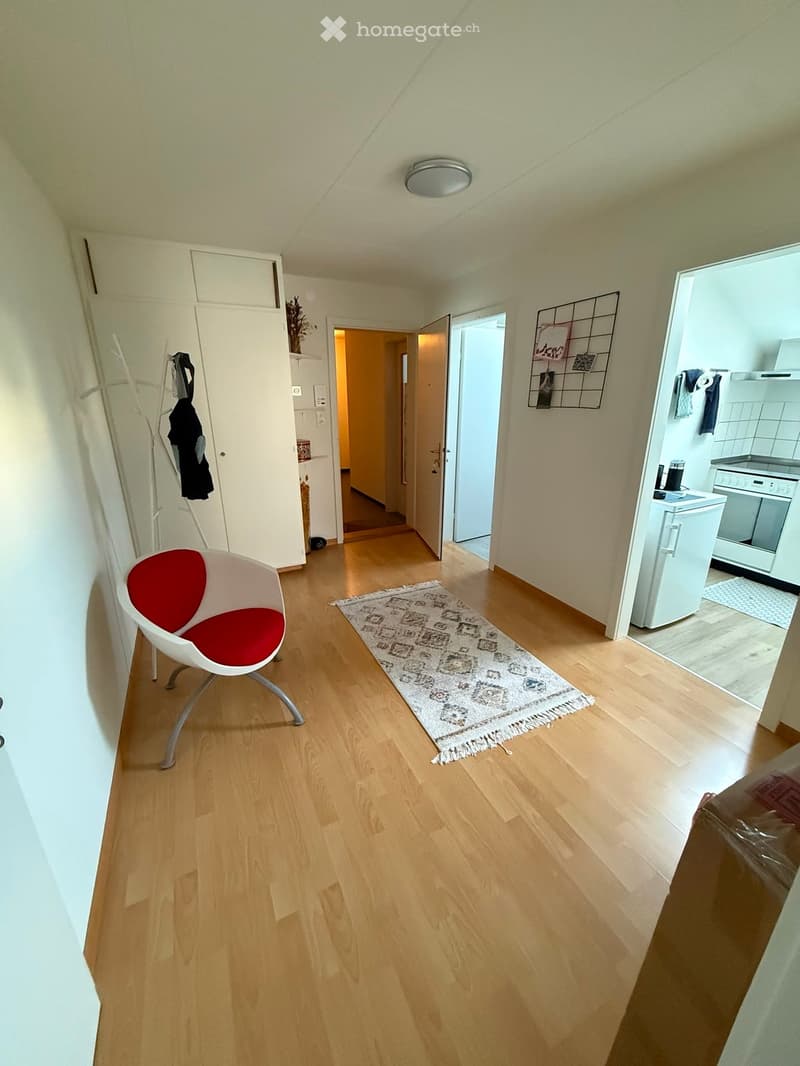A modern hallway with wooden flooring, a red and white chair, a patterned rug, and an open kitchen area with white cabinets and appliances.