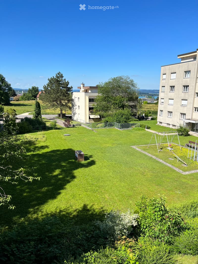 Well-maintained lawn with trees, shrubs, and a playground with swings and a slide, surrounded by residential buildings.
