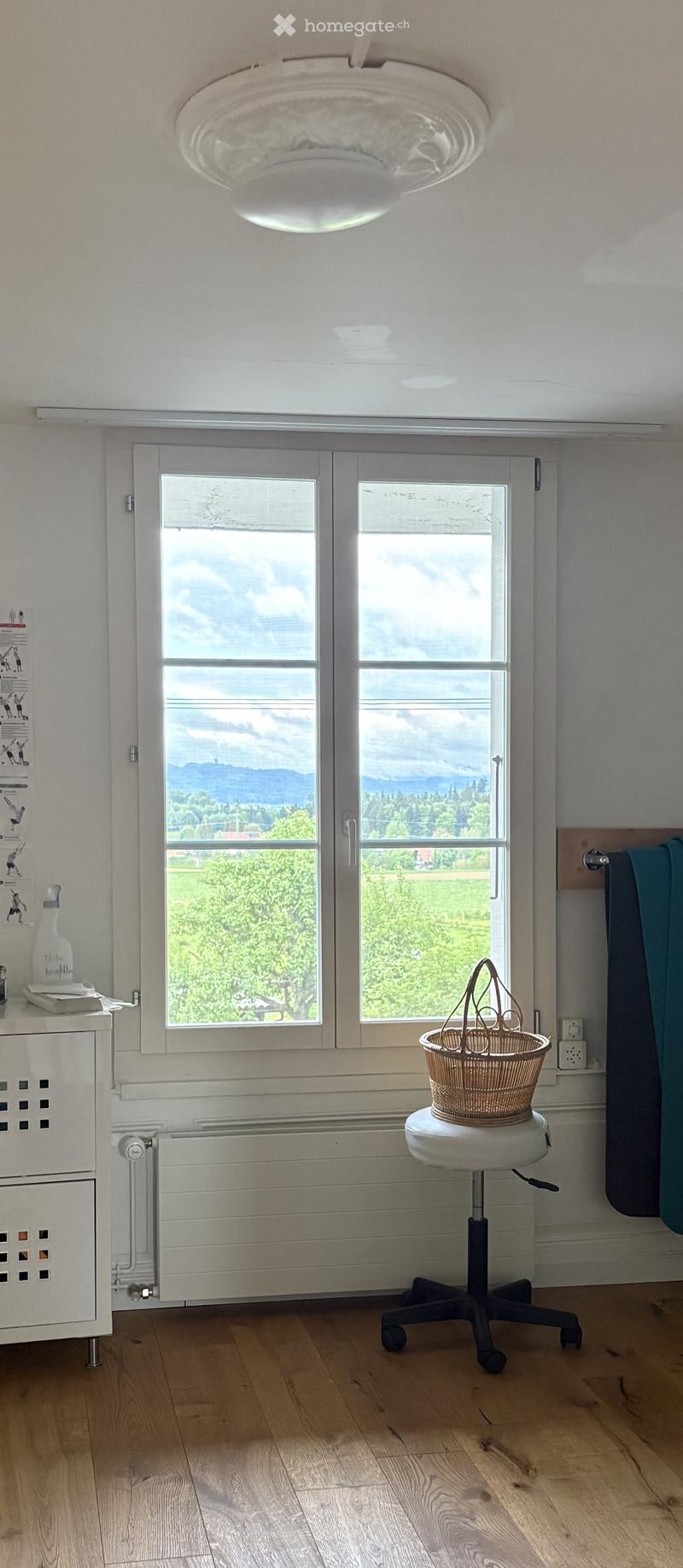 Bright room with wooden flooring, large windows showing a scenic view, a white stool with a woven basket, a radiator, a small cabinet with a bottle, and a towel hanging on the wall.