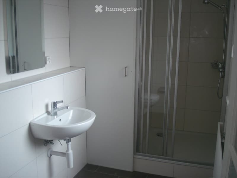 Modern bathroom with a white wall-mounted sink, a mirror above it, and a glass-enclosed shower area.