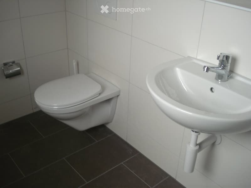 Modern bathroom with white tiled walls, dark tiled floor, toilet, sink with chrome faucet, and toilet paper holder.