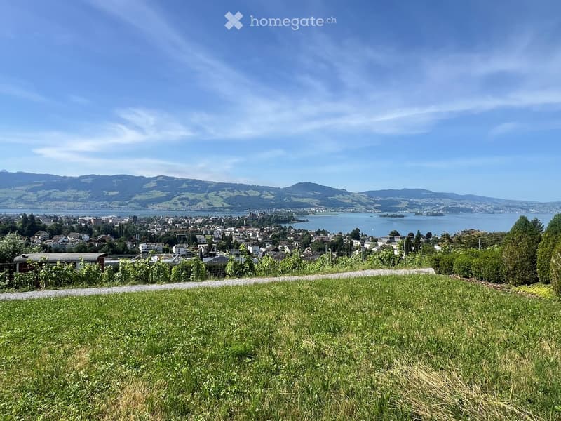 hilltop with grassy terrain, distant view of city and lake, surrounded by trees and bushes