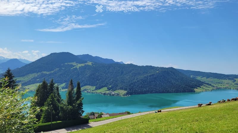 A scenic view of a lake surrounded by lush green hills and mountains, with a road running alongside and cows grazing on the grass.