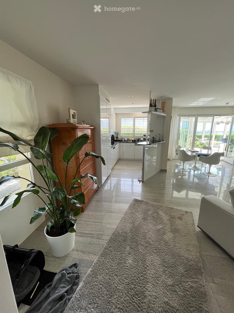 Modern living and dining area with a large potted plant, a grey sofa, a round dining table with white chairs, and a kitchen area with white cabinets and a countertop.