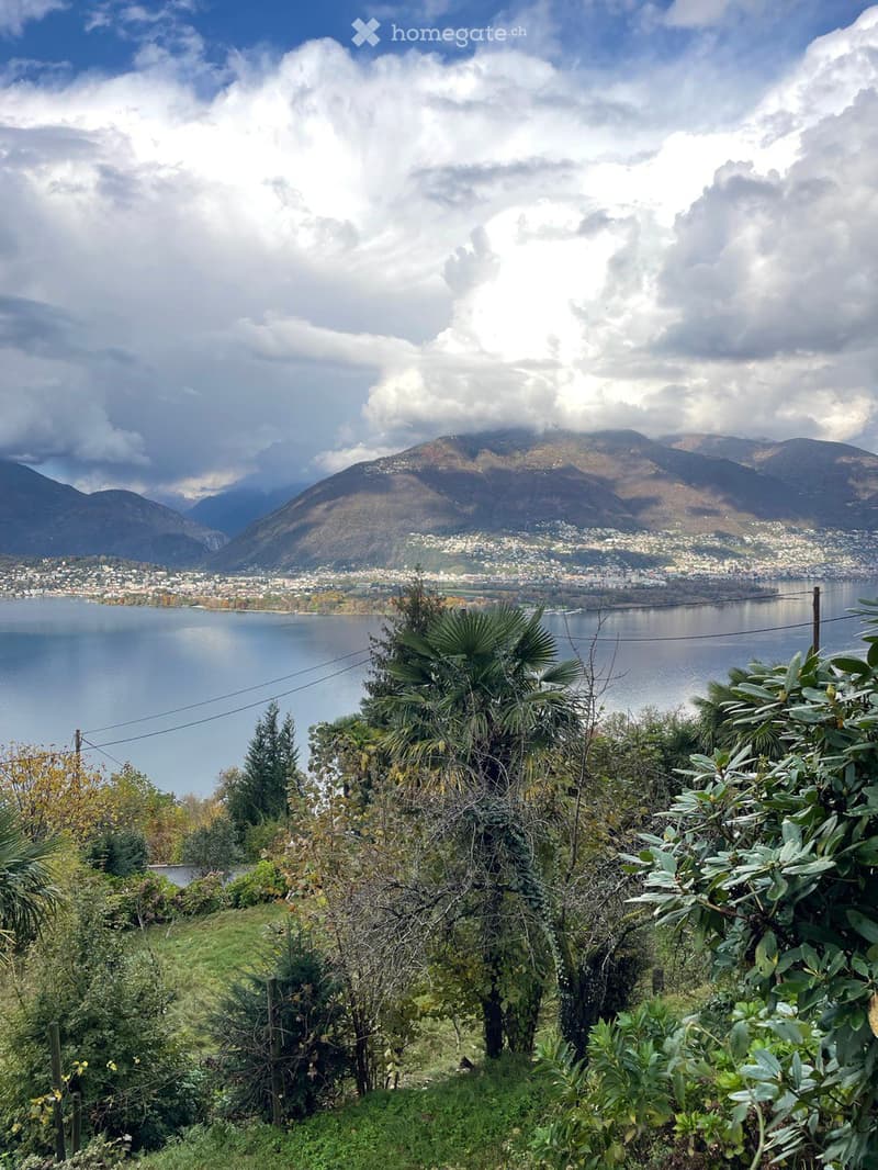 A scenic outdoor view featuring a lush garden with various trees and shrubs in the foreground, overlooking a serene lake surrounded by mountains and a town under a partly cloudy sky.