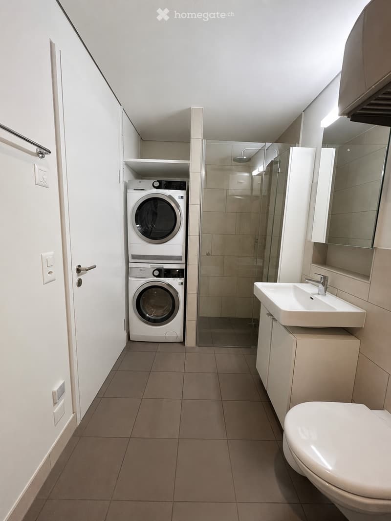 Modern bathroom with a white sink, toilet, washing machine, and a glass-enclosed shower area.