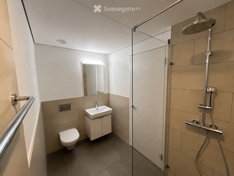 Modern bathroom with a toilet, sink, mirror, and walk-in shower with glass enclosure.