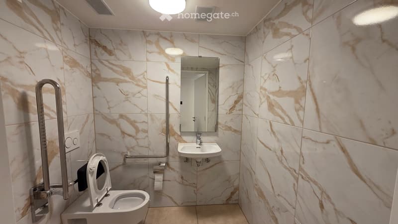 Modern bathroom with marble tiles, a toilet, a sink, a mirror, and a handrail for accessibility.