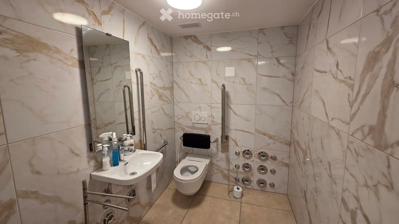 Modern bathroom with marble tiles, a sink, toilet, mirror, and handrail.