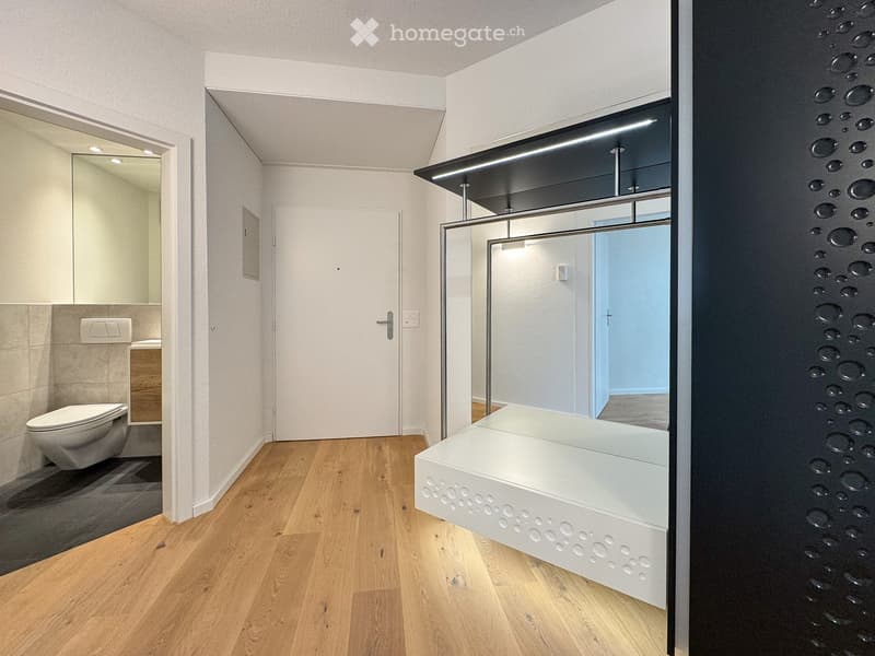 Modern bathroom with wooden flooring, a toilet, a shower stall, and a mirror. The shower area features a sleek, contemporary design with a glass enclosure and a built-in seat.