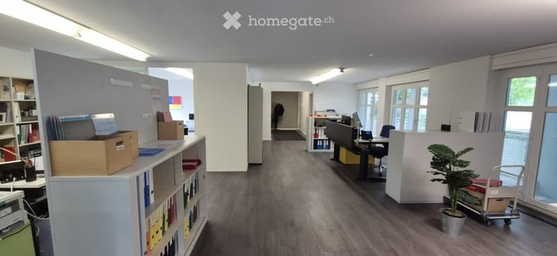 Office space with wooden floors, white walls, bookshelves, office equipment, and a potted plant.