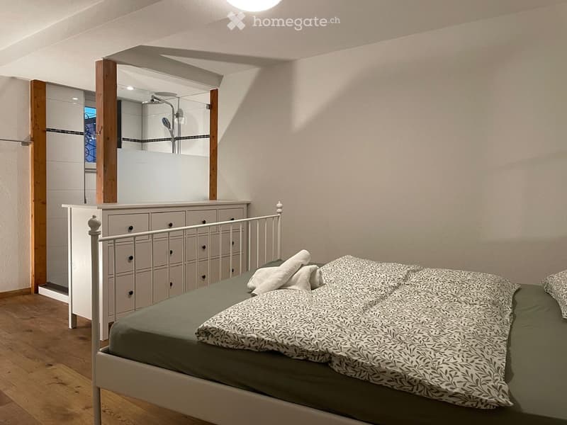 Cozy bedroom with a white metal bed, green bedding, a white wardrobe, and an adjacent shower area with a glass enclosure.