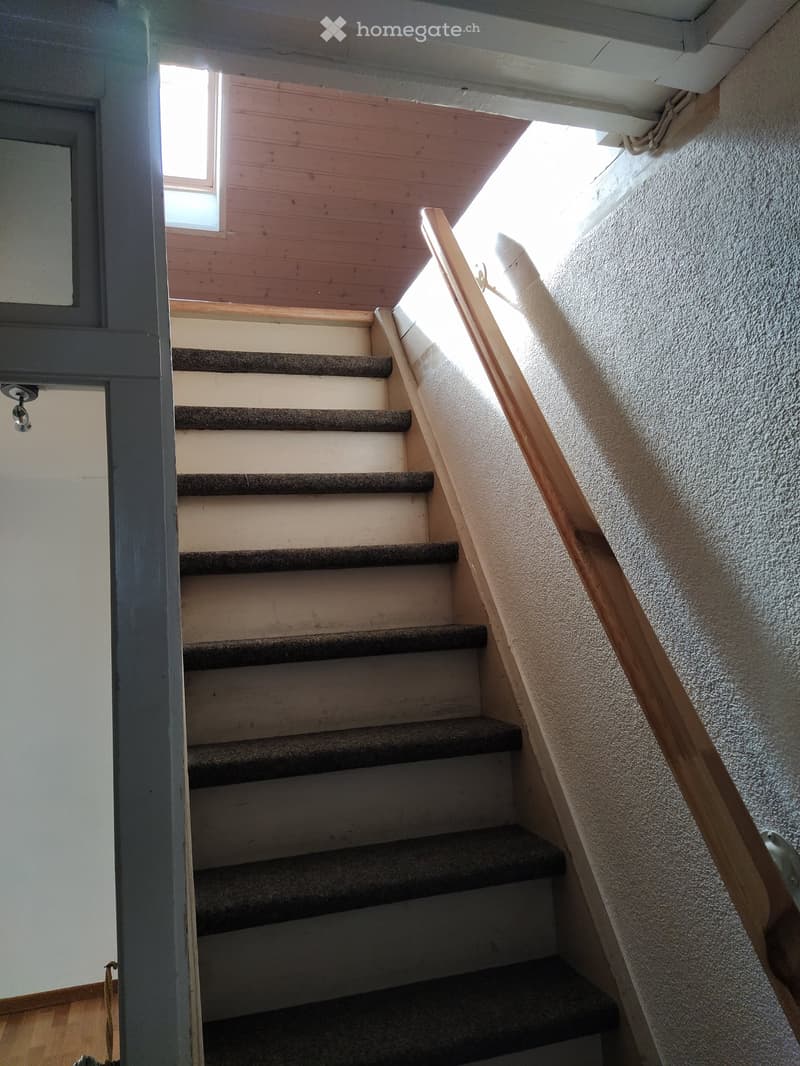 Staircase with wooden handrail and carpeted steps, leading up to a landing with a window and wooden ceiling.