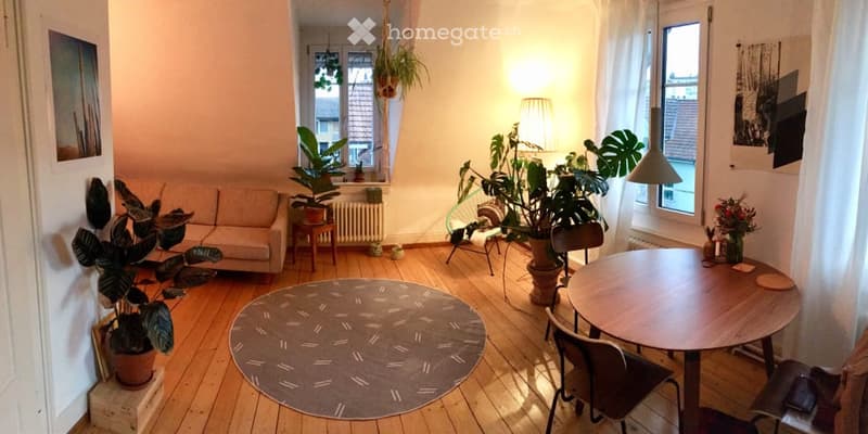 A cozy living room with wooden flooring, a grey sofa, a round wooden table with chairs, several potted plants, a floor lamp, and a radiator near the window.