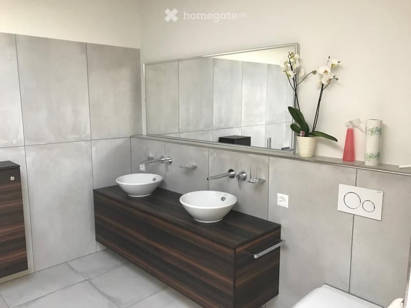 Modern bathroom with a dark wooden vanity, two white sinks, a large mirror, and decorative elements including a flower vase and soap dispenser.