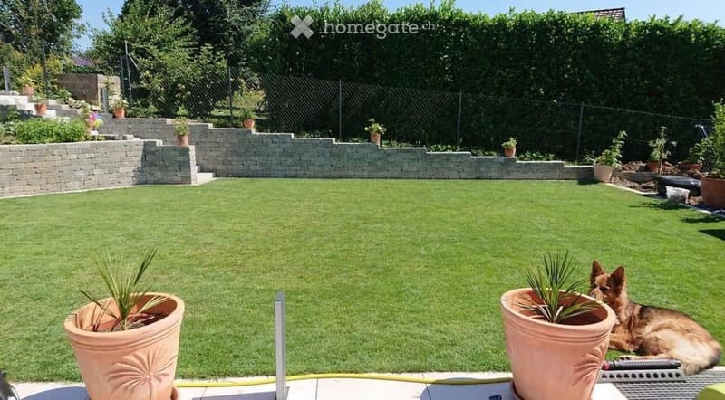 Well-maintained garden with a neatly trimmed lawn, raised stone border, several potted plants, and a dog resting on the grass.