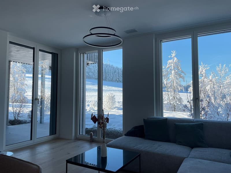 Modern living room with large windows overlooking a snowy landscape, featuring a grey sectional sofa, glass coffee table, and a vase with dried flowers.