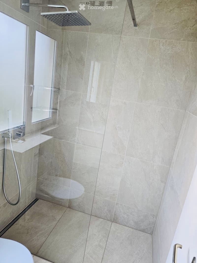 Modern bathroom with a glass-enclosed shower area, a large showerhead, and a mirror on the wall.