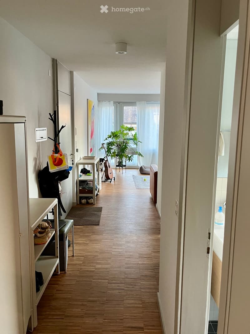 A narrow hallway with wooden flooring, white walls, and a ceiling light. Visible items include a coat rack, a small table with shoes, a guitar, a potted plant, and a small rug.