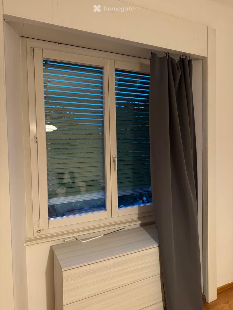 Camera privata in appartamento Arredato di 4.5 Locali a Lugano – Disponibile Subito (3)