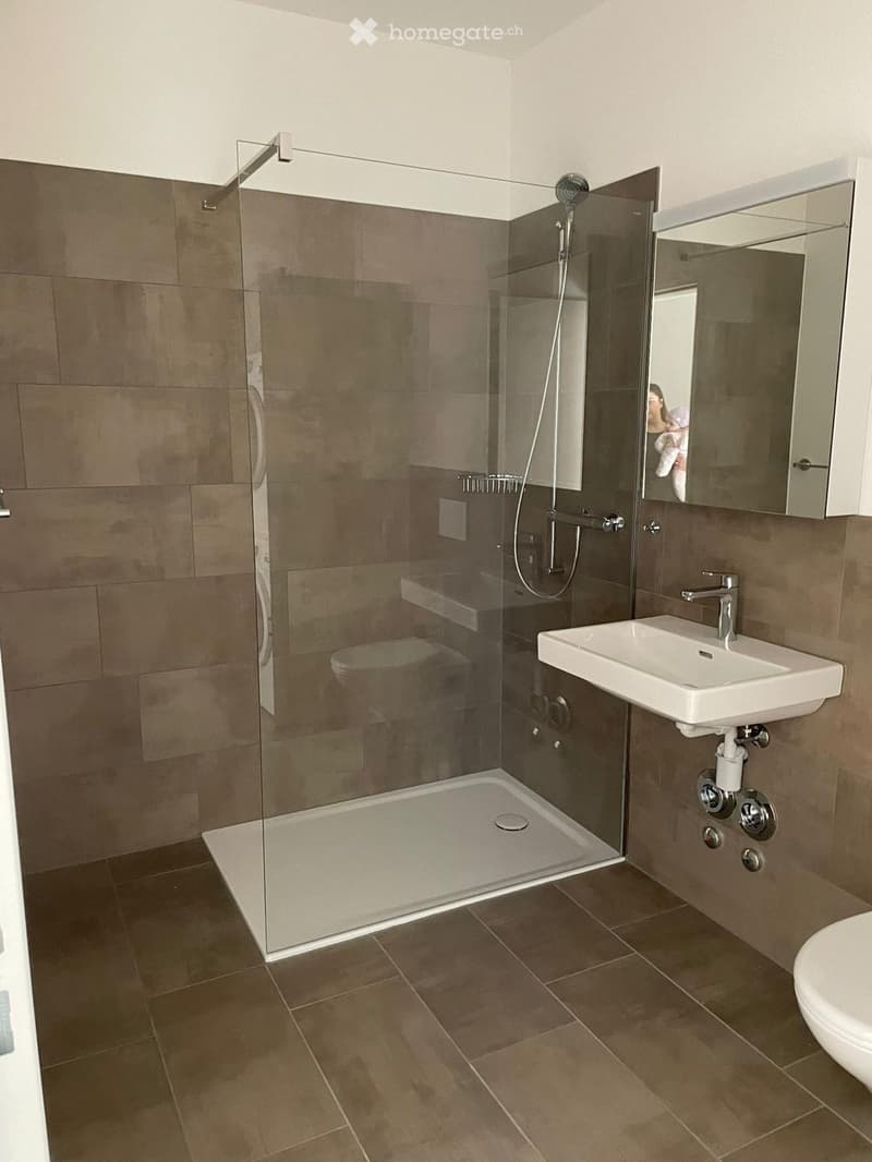 Modern bathroom with a glass-enclosed shower, a white sink, and a toilet. The walls and floor are tiled in a warm brown color.