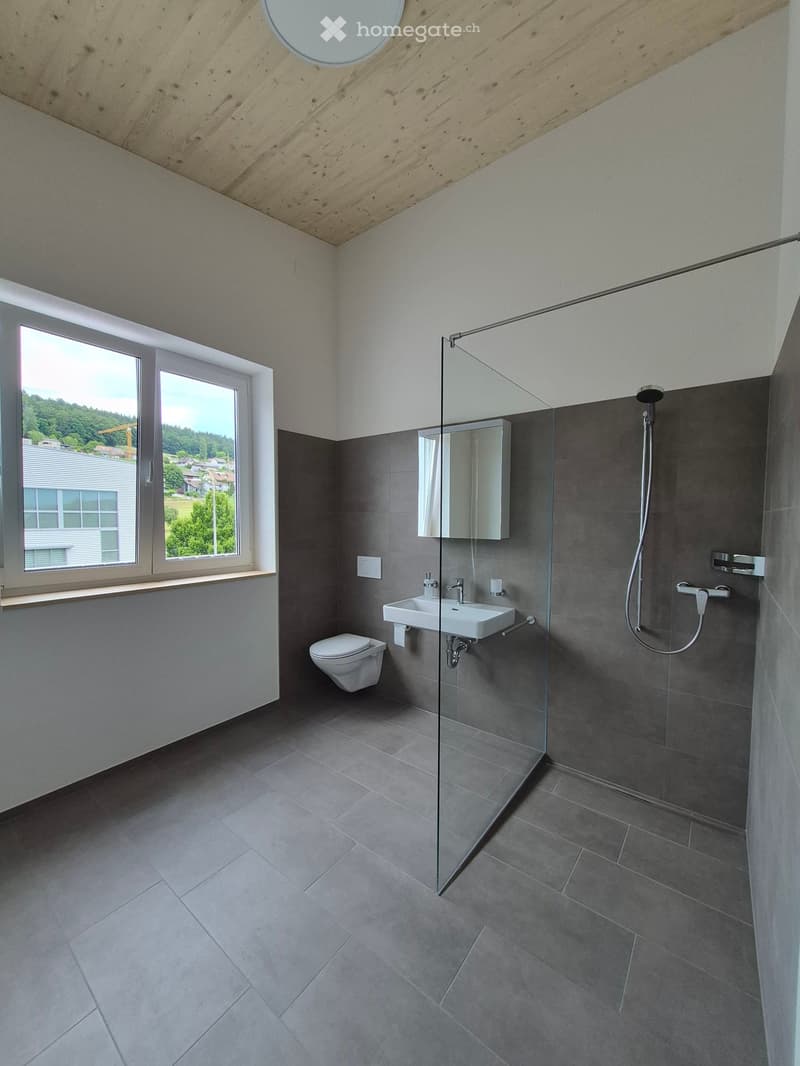 Modern bathroom with grey tiles, a glass-enclosed shower, a white sink, and a toilet. Large window offers a view of the landscape.