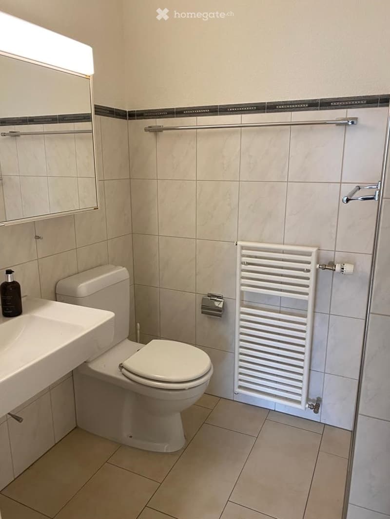 Wohnung in Rapperswil SG (4)