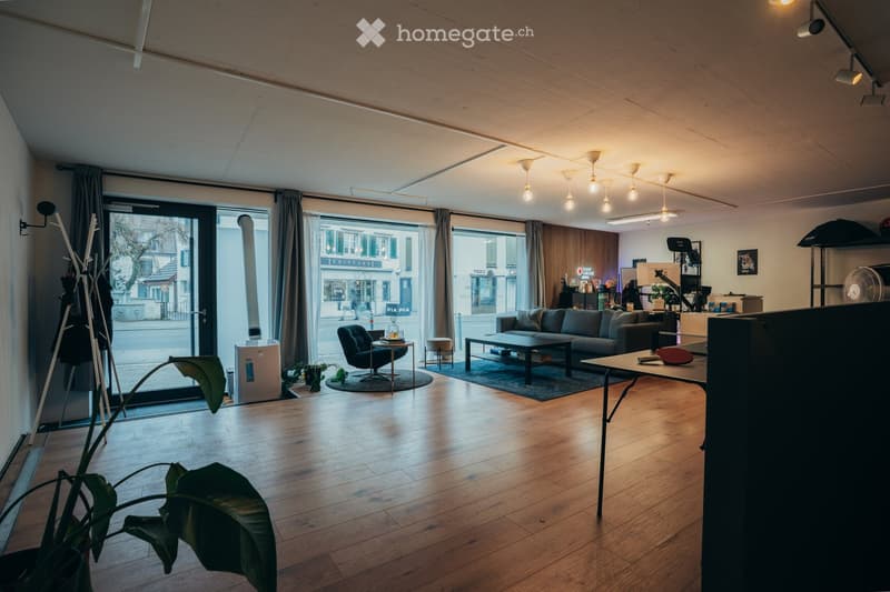 modern living space, hardwood floors, large windows, outdoor view, furniture, plants