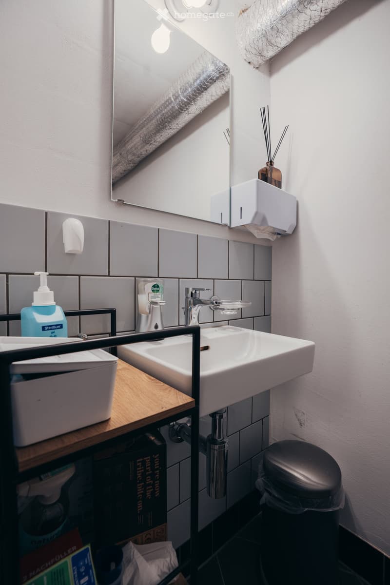 Bathroom: White sink, mirror, white tiled wall, tissue holder, dispenser, trash can, shelves with bottles