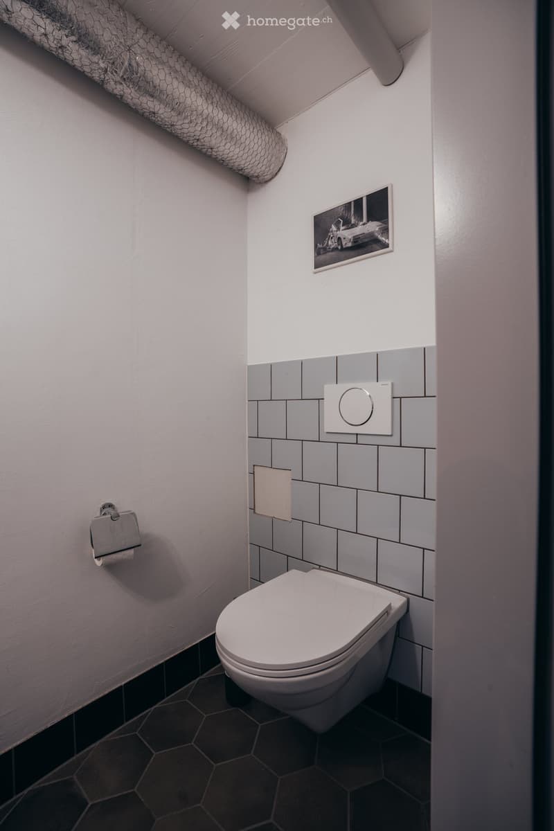 tiled wall, toilet, toilet paper holder, white wall, black tiles, metal pipe