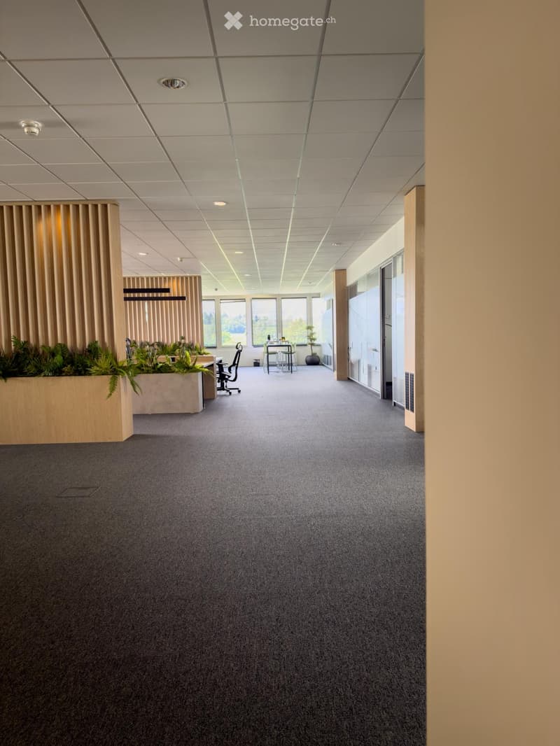 Modern office space with grey carpet, large windows, and a small seating area with a chair, table, and plants.