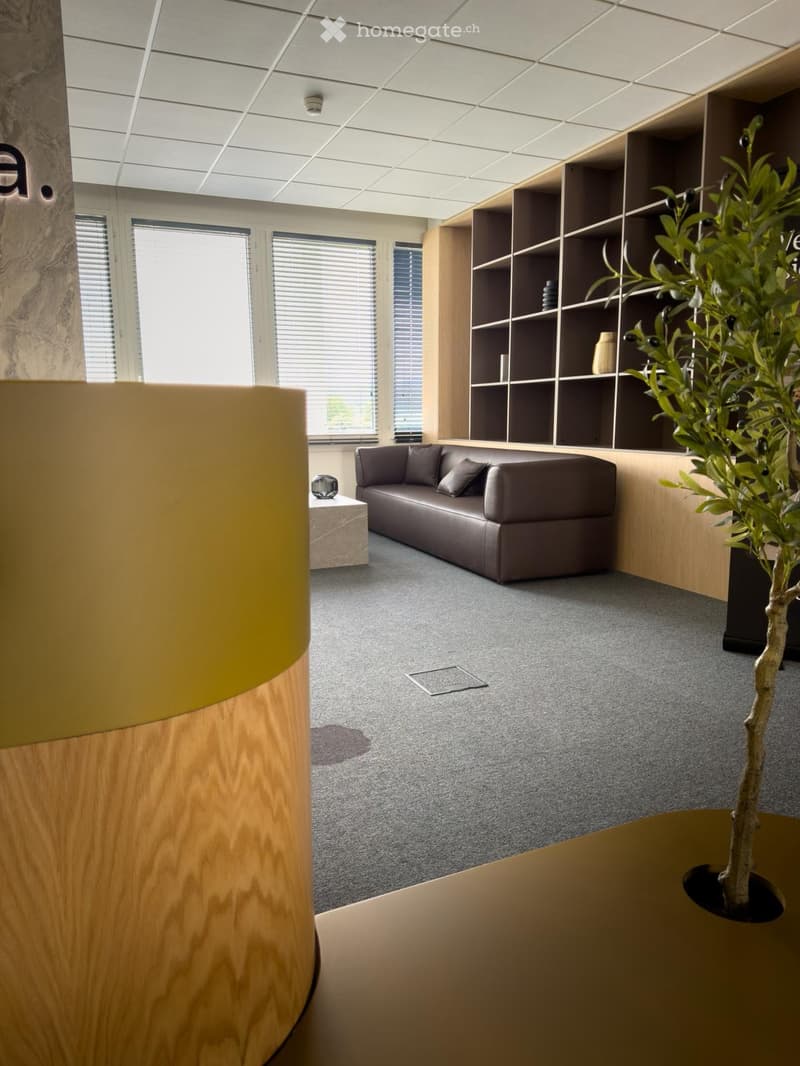 Modern, minimalist living room with grey carpet, large windows, dark brown leather sofa, small square table, wooden shelving unit, and a potted plant.