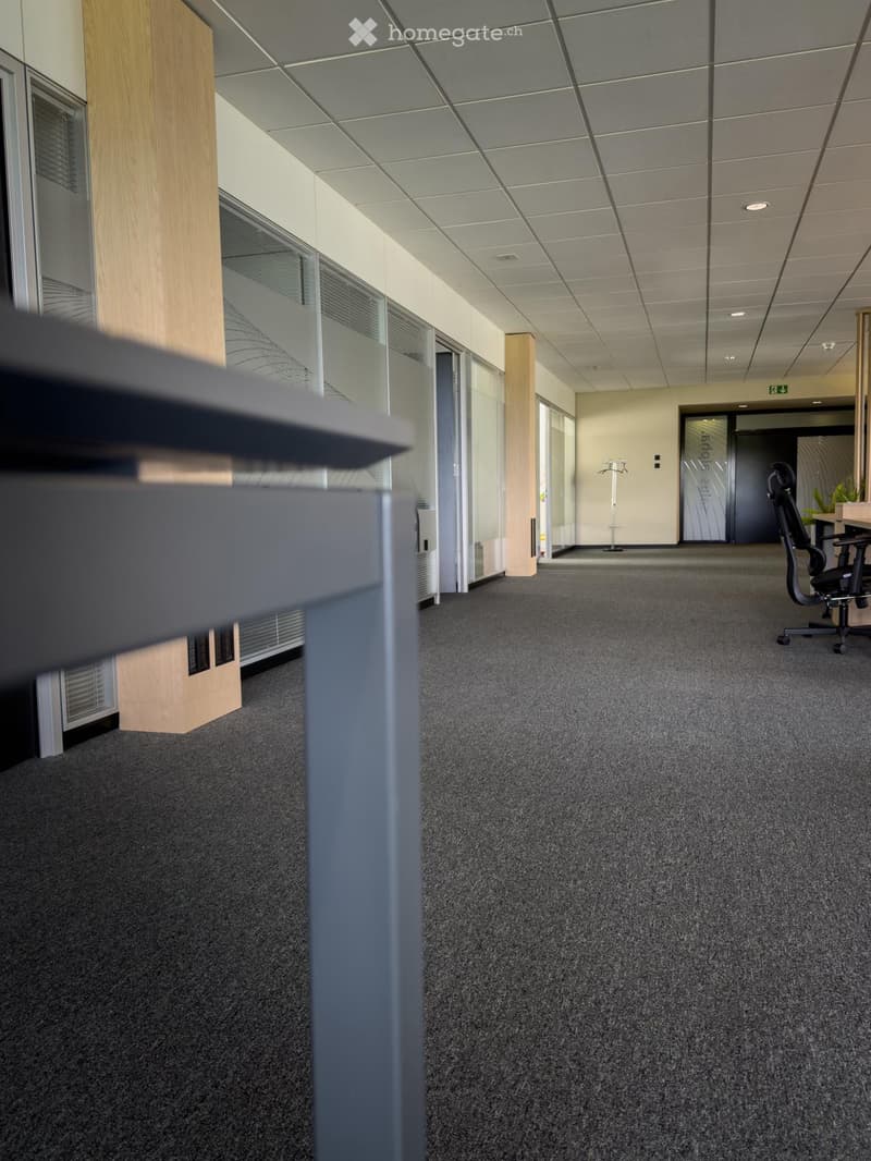 Office space with carpeted floor, modern furniture, and large windows with blinds.