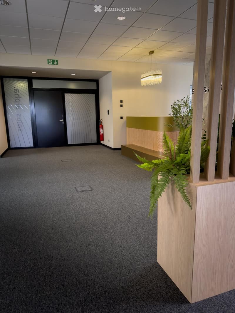 Modern hallway with grey carpet, white walls, wooden partition, potted plants, and a chandelier light fixture.
