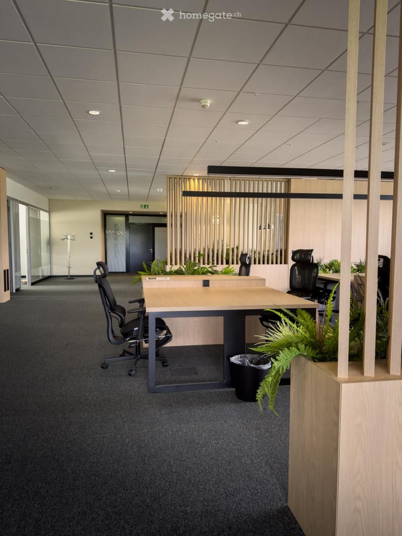 Modern office space with a wooden desk, ergonomic chairs, plants, and a trash can. The area features a grey carpeted floor, white walls, and a glass partition with vertical wooden slats.