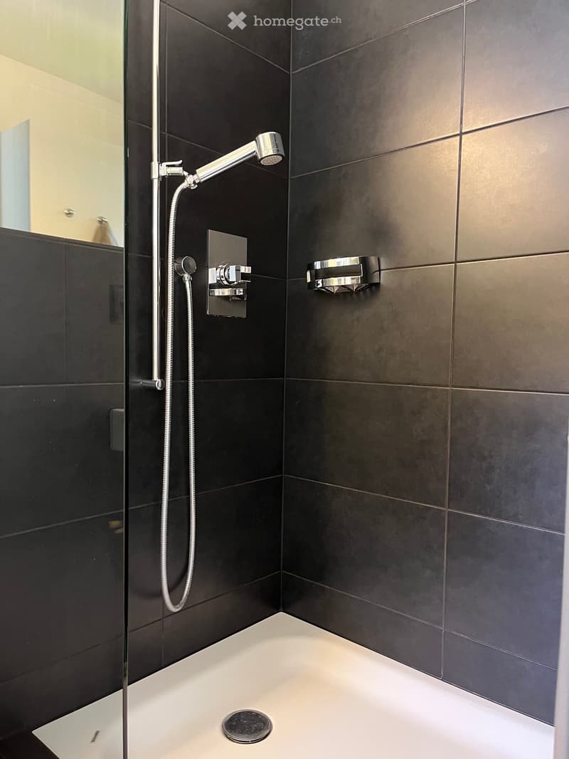 Modern shower area with dark tiled walls, a glass enclosure, a handheld showerhead, and a built-in seat.