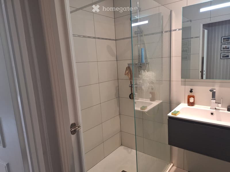 Modern bathroom with a glass-enclosed shower, a white sink with a modern faucet, a large mirror, and a soap dispenser on the counter.