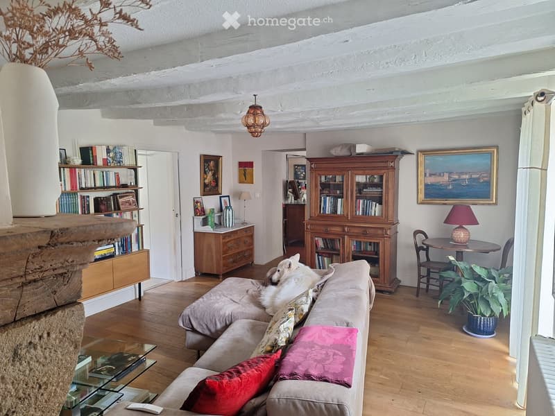 Living room with exposed wooden beams, a grey sofa with colorful cushions, a glass coffee table, a bookshelf, a small round table with a lamp, and a potted plant. A white dog is resting on the sofa.