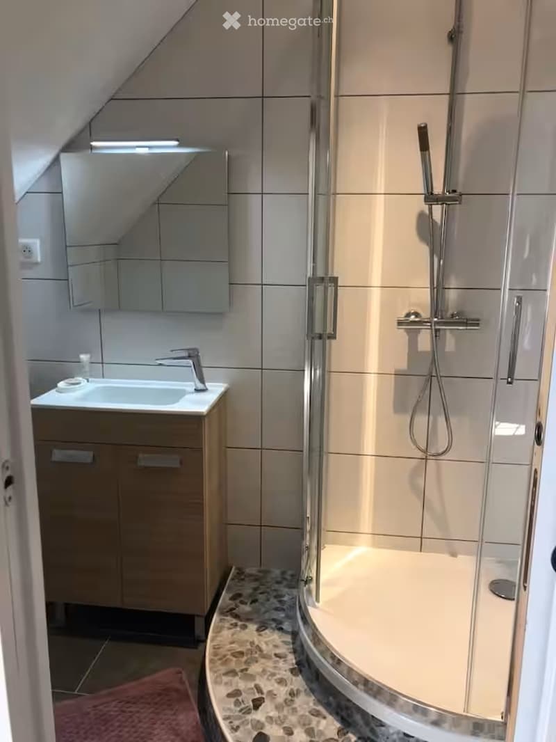 Modern bathroom with a glass-enclosed shower, a sink with a mirror, and a wooden cabinet.
