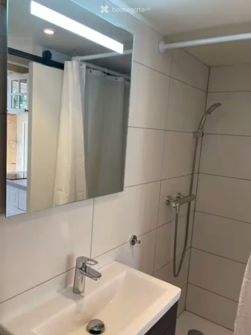 Modern bathroom with a white sink, chrome faucet, large mirror, and a shower area with a curtain.