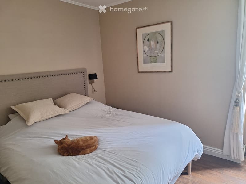 A well-lit bedroom with a neatly made bed, a headboard, pillows, a cat resting on the bed, a wall-mounted lamp, a framed picture on the wall, and a curtained window.
