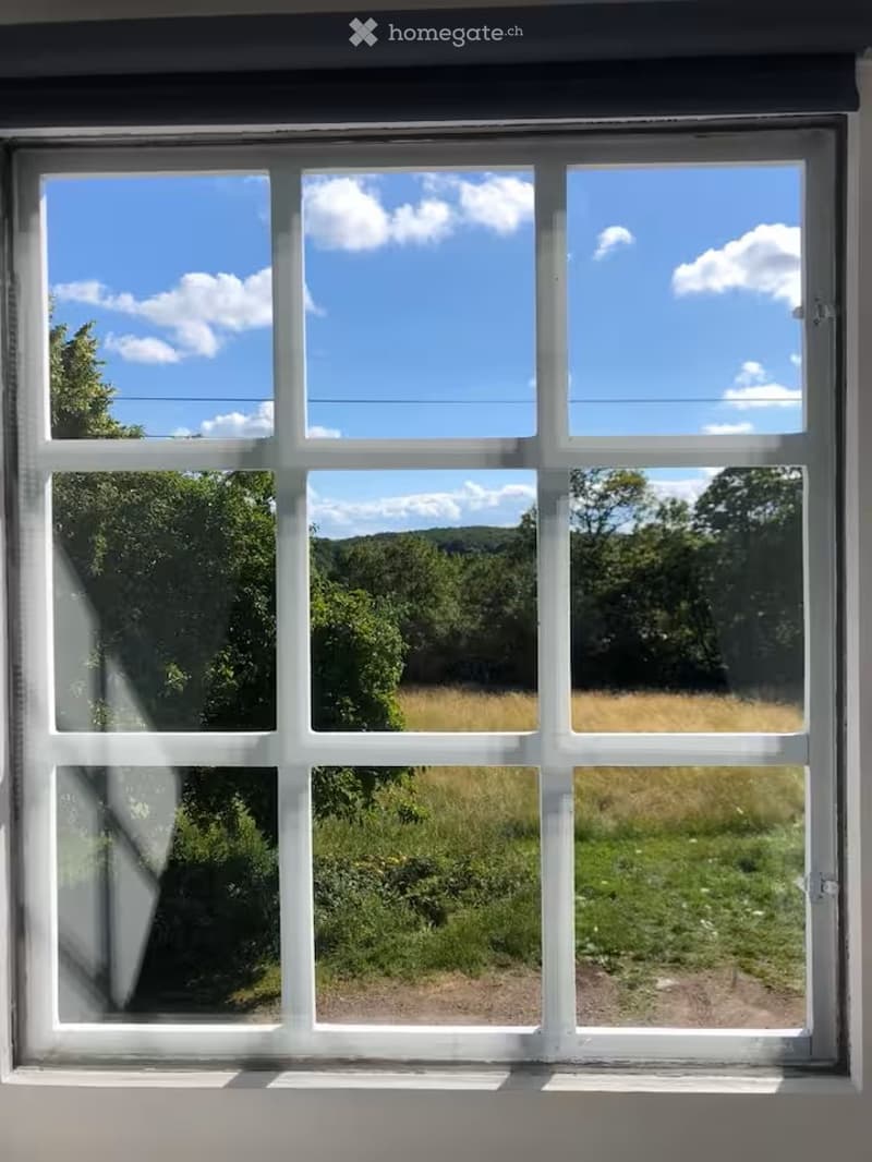 Window view of a grassy field and trees under a partly cloudy sky.