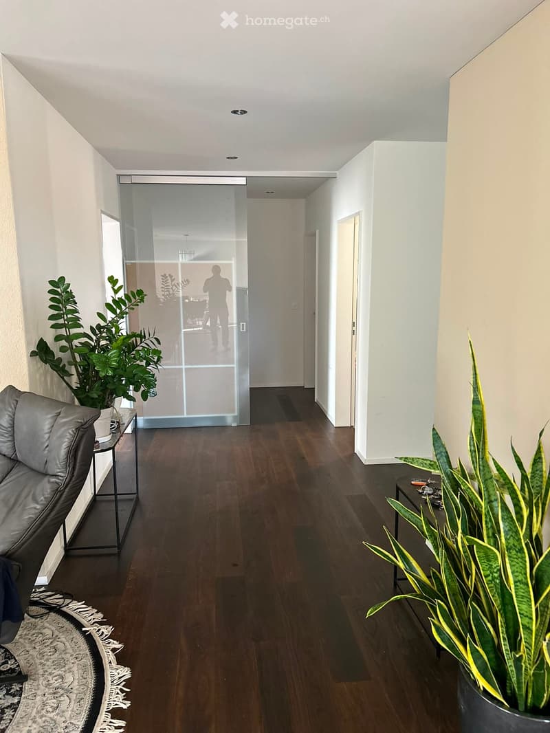 Modern hallway with dark wooden flooring, white walls, and contemporary decor including a grey sofa, small tables with plants, and a patterned rug.