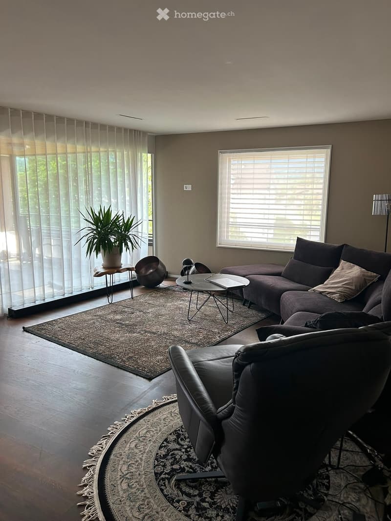 Modern living room with a dark grey sectional sofa, a black leather armchair, a coffee table, a small side table with a plant, and a large window with blinds.