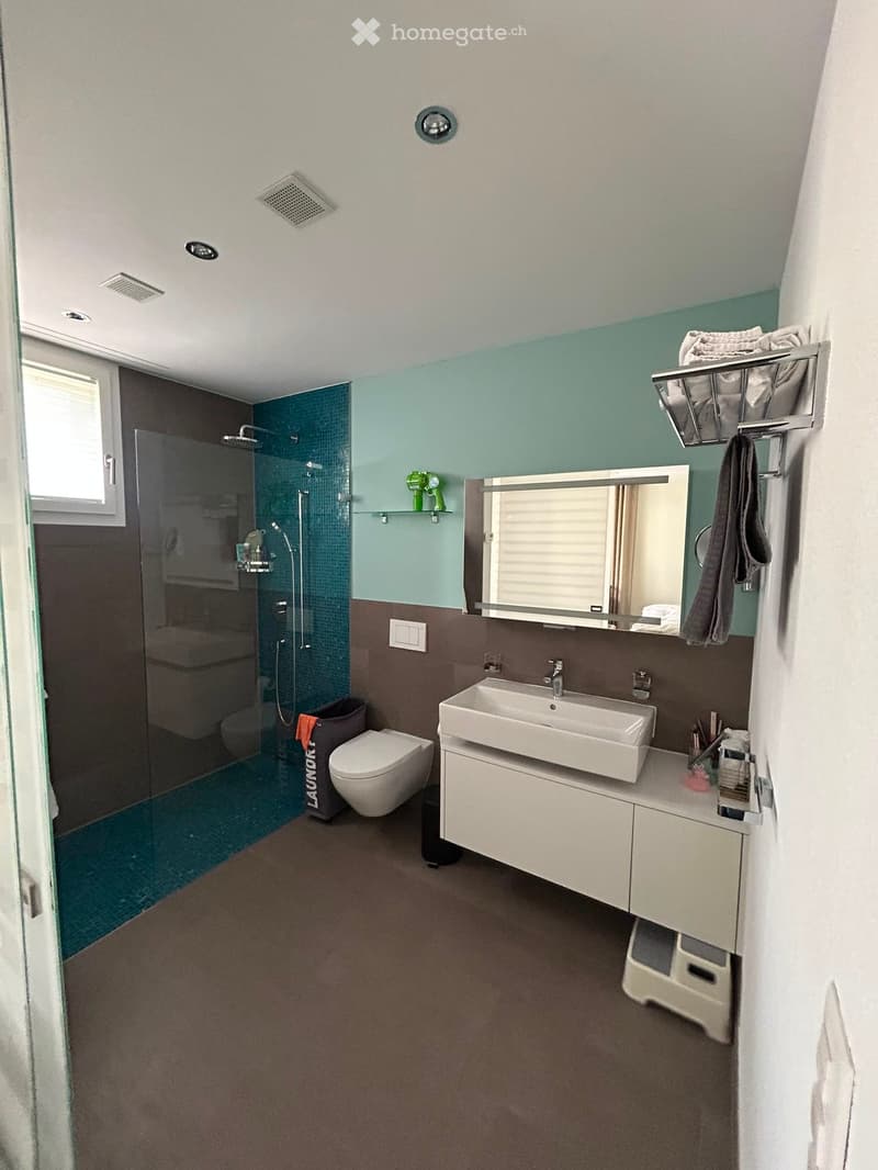 Modern bathroom with a white sink, toilet, mirror, and glass-enclosed shower. Features a towel rack, bathroom cabinet, and a small shelf with toiletries.