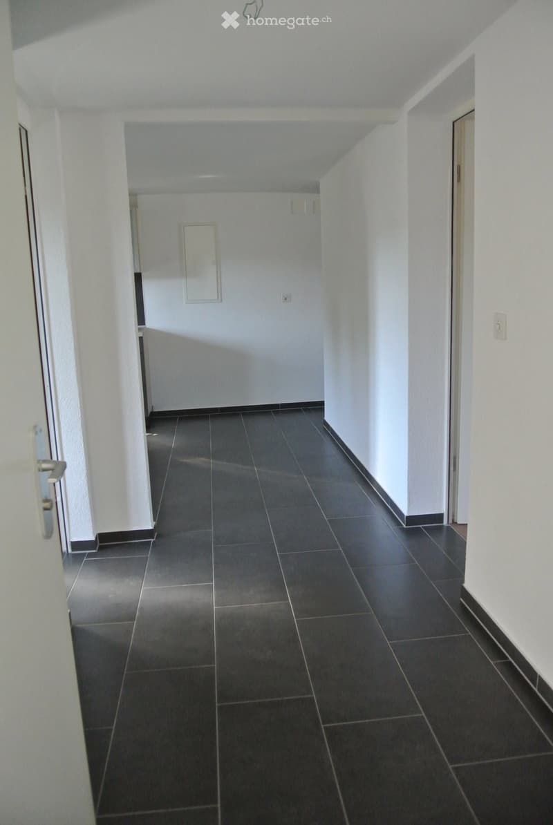 Empty hallway with dark tiled flooring and white walls, featuring several doors and light switches.