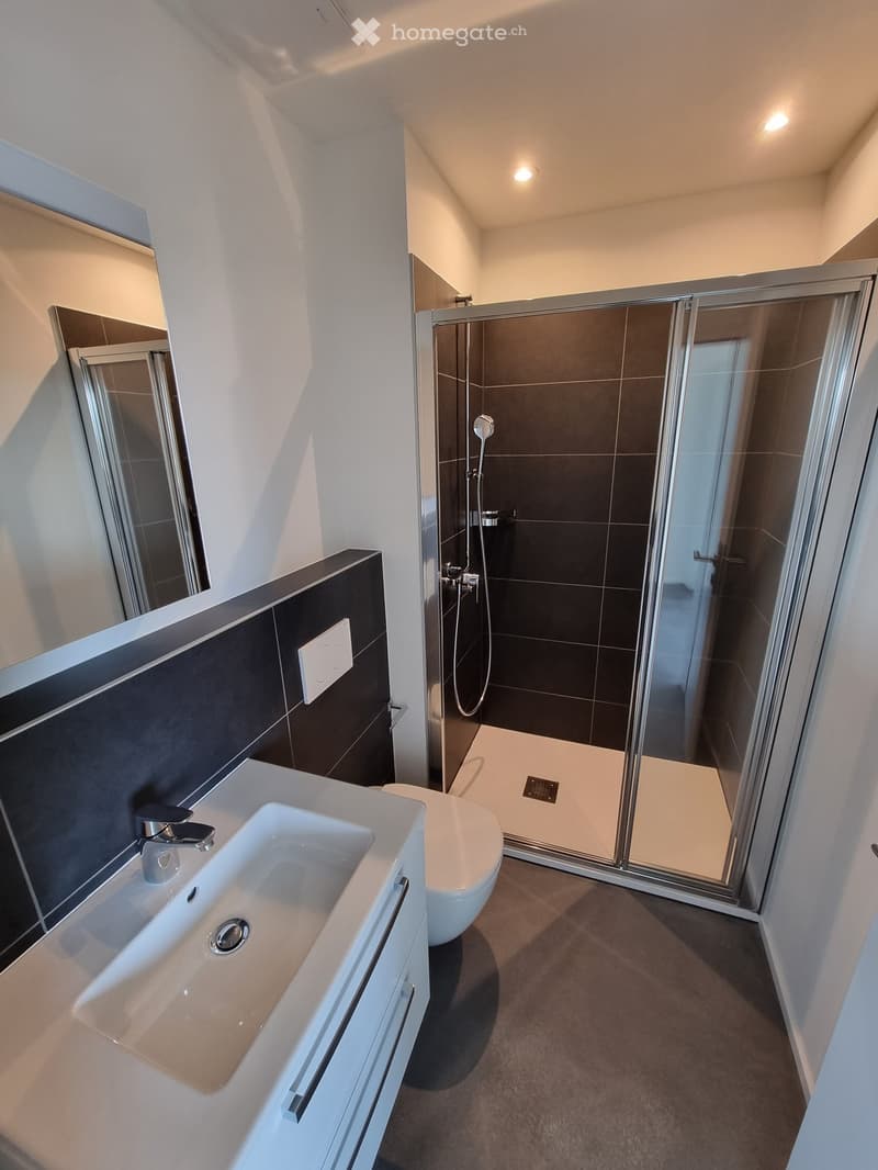Modern bathroom with a white sink, chrome faucet, large mirror, toilet, and a glass-enclosed shower with a modern showerhead.